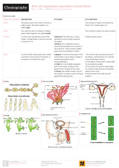 PDF (Colour) — Style 3