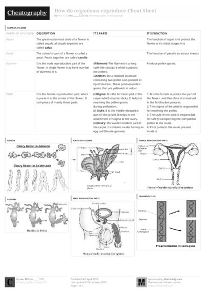 PDF (Black & white) — Style 3