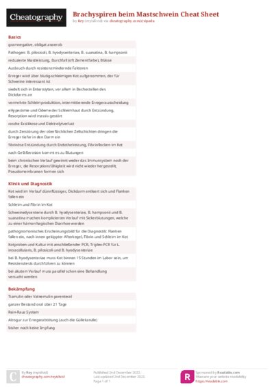 PDF (Colour) — Style 2