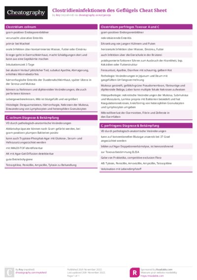 PDF (Colour) — Style 1