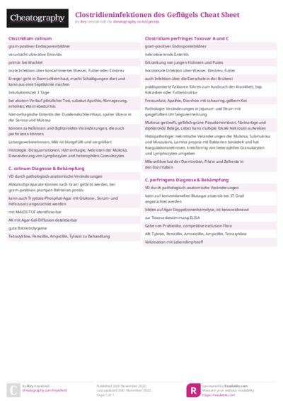 PDF (Colour) — Style 2