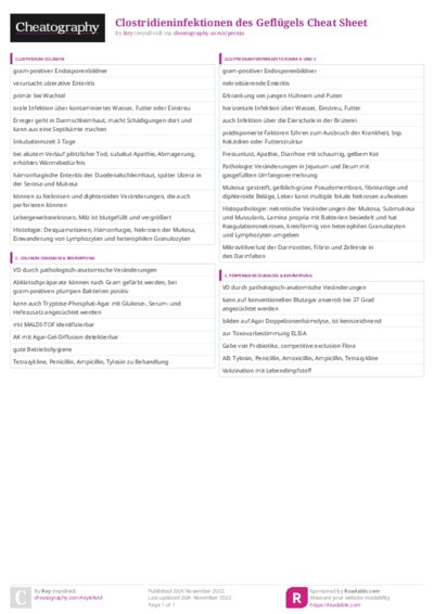 PDF (Colour) — Style 3