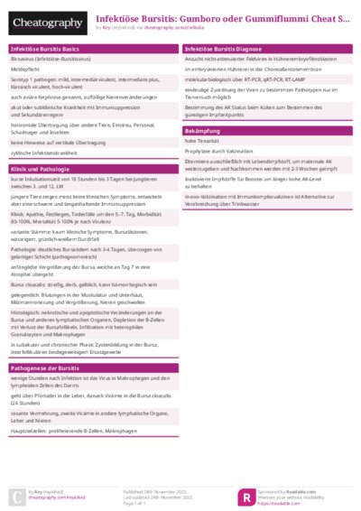 PDF (Colour) — Style 1