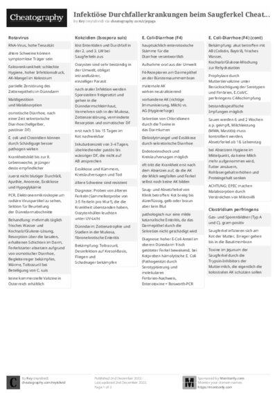 PDF (Black & white) — Style 2