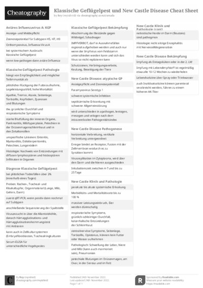 PDF (Black & white) — Style 2