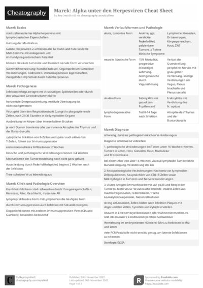 PDF (Black & white) — Style 2