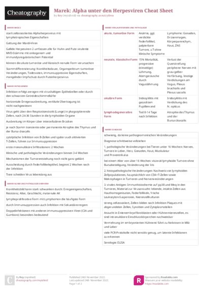 PDF (Colour) — Style 3