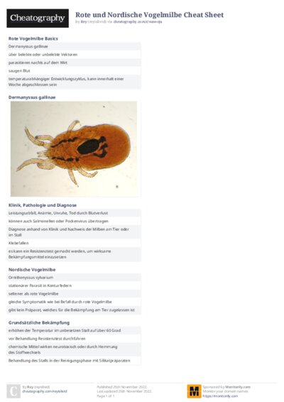 PDF (Colour) — Style 2