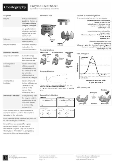 PDF (Black & white) — Style 2