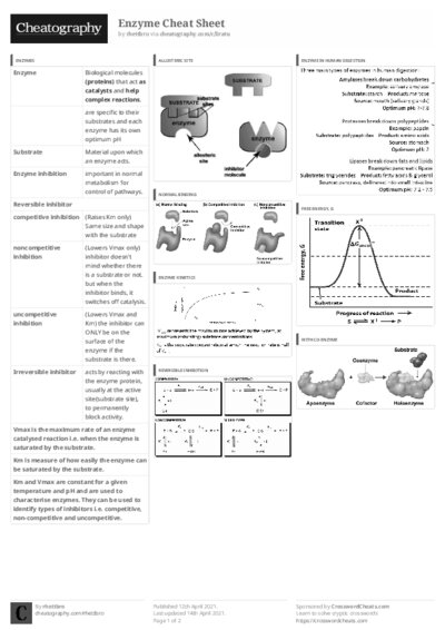 PDF (Black & white) — Style 3