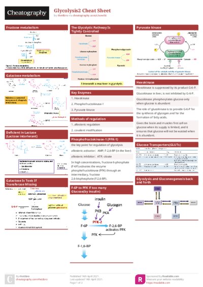 PDF (Colour) — Style 1