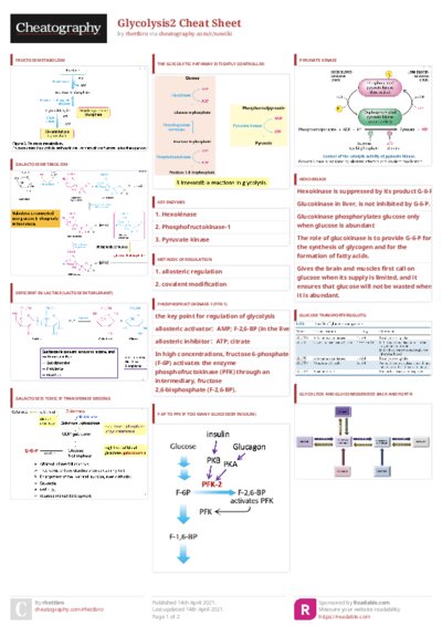 PDF (Colour) — Style 3