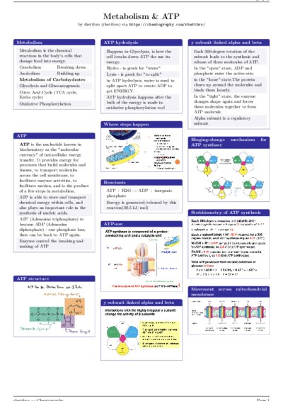 LaTeX (Compiled PDF)