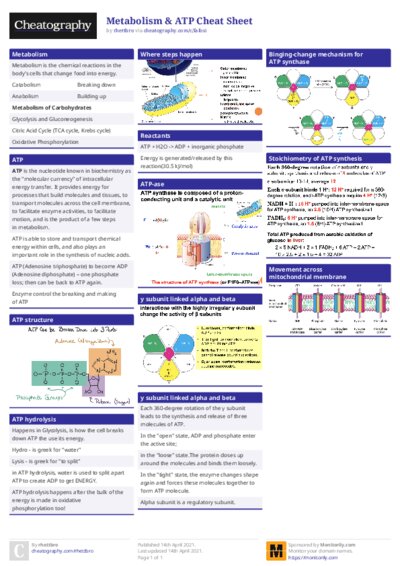 PDF (Colour) — Style 1