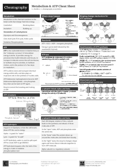 PDF (Black & white) — Style 1