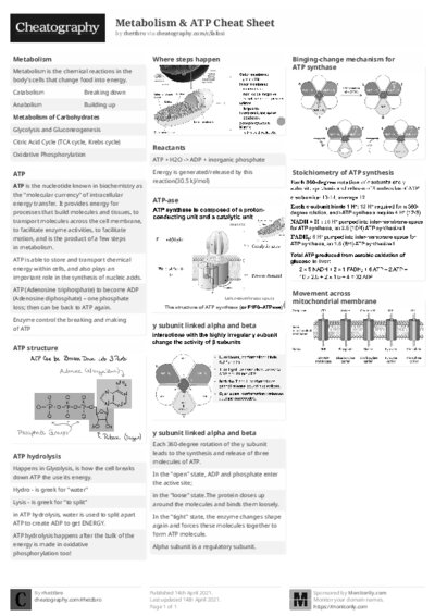 PDF (Black & white) — Style 2