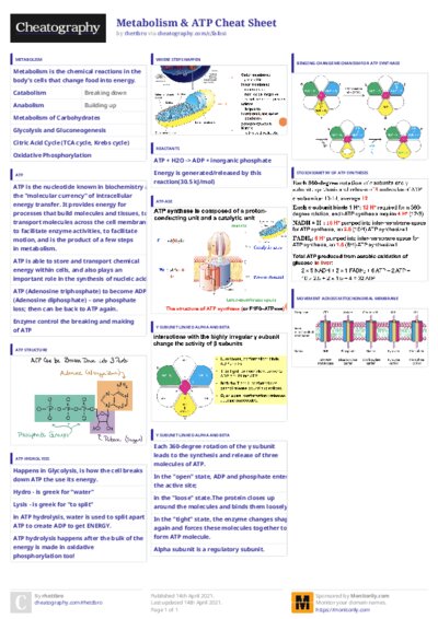PDF (Colour) — Style 3