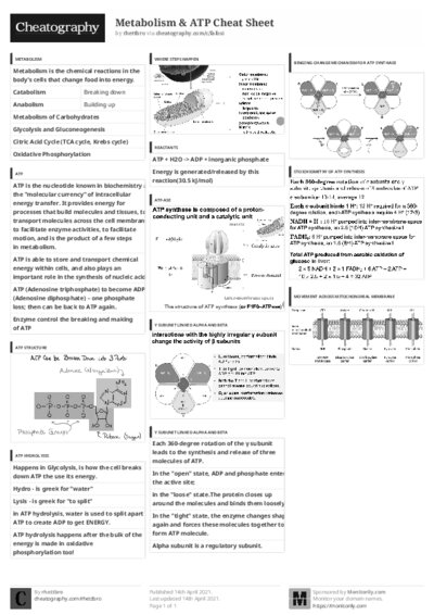 PDF (Black & white) — Style 3