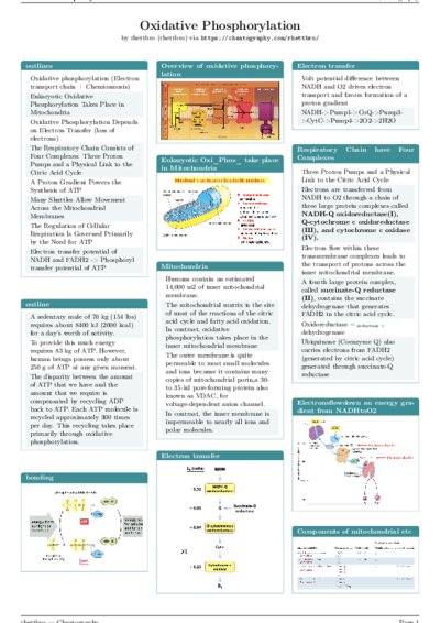 LaTeX (Compiled PDF)