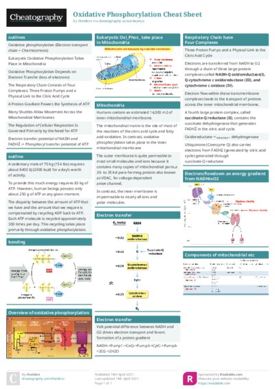 PDF (Colour) — Style 1
