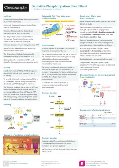 PDF (Colour) — Style 2