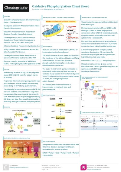 PDF (Colour) — Style 3