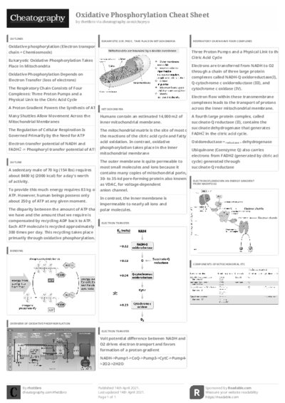 PDF (Black & white) — Style 3