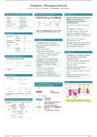 LaTeX (Compiled PDF)