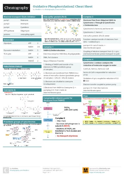 PDF (Colour) — Style 1