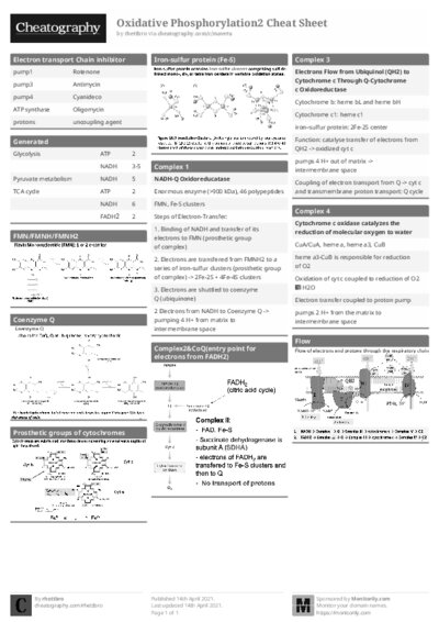 PDF (Black & white) — Style 1