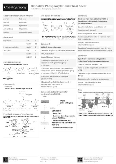 PDF (Black & white) — Style 2