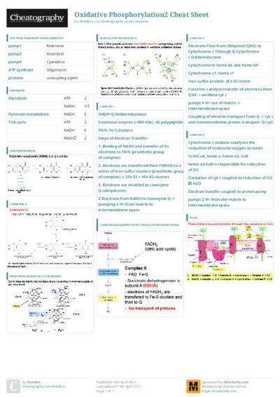PDF (Colour) — Style 3
