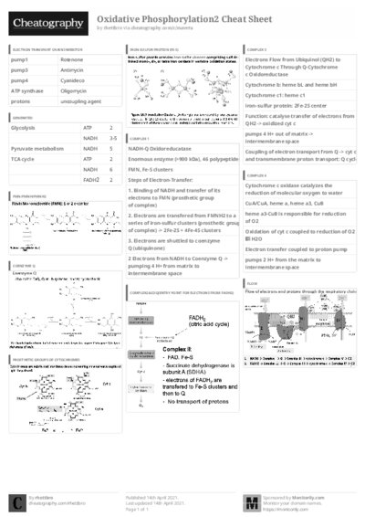 PDF (Black & white) — Style 3