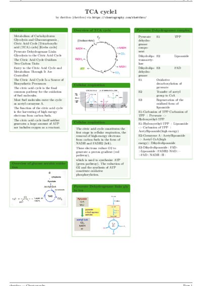 LaTeX (Compiled PDF)