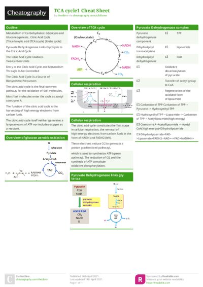 PDF (Colour) — Style 1