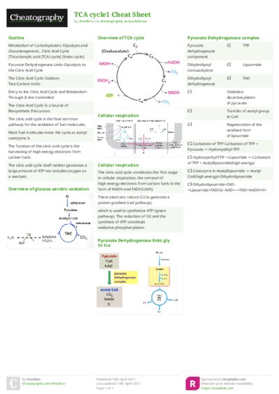 PDF (Colour) — Style 2