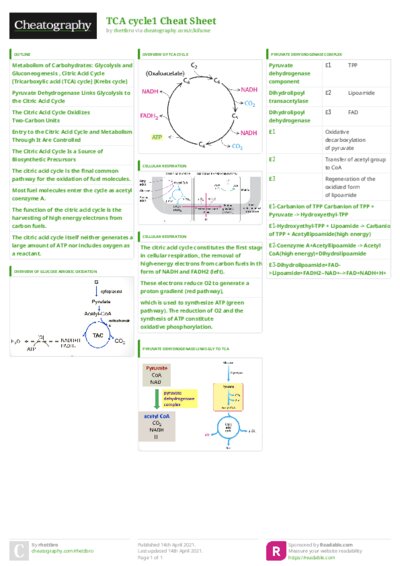 PDF (Colour) — Style 3