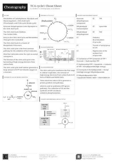 PDF (Black & white) — Style 3