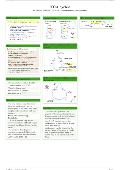LaTeX (Compiled PDF)