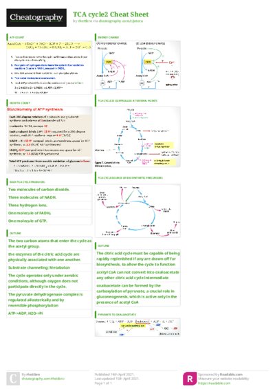 PDF (Colour) — Style 3