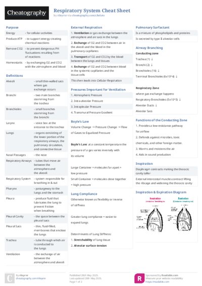 Respiratory System Cheat Sheet