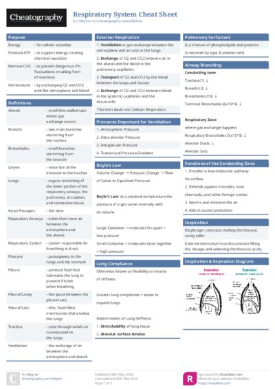 PDF (Colour) — Style 1