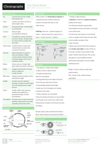 PDF (Colour) — Style 1