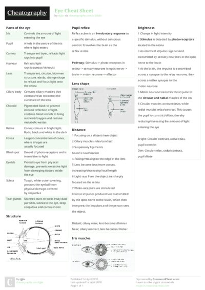 PDF (Colour) — Style 2