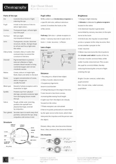PDF (Black & white) — Style 2