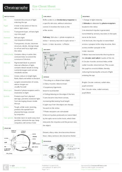 PDF (Colour) — Style 3