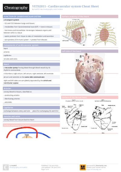 VETS2011 - Cardiovascular system Cheat Sheet