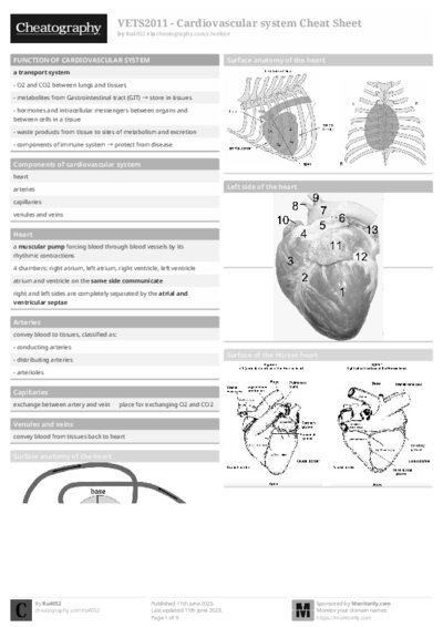PDF (Black & white) — Style 1