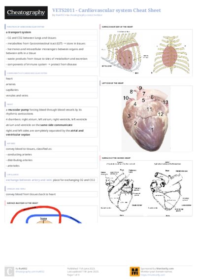 PDF (Colour) — Style 3