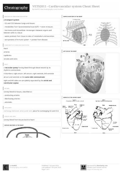 PDF (Black & white) — Style 3